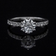 Solitaire Ring Setting 36 | Uniform Band Pave Diamond