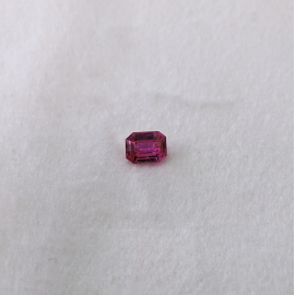 SALE! Begonia Pink Sapphire