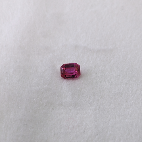 SALE! Begonia Pink Sapphire